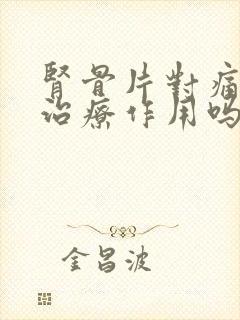 肾骨片对痛风有治疗作用吗