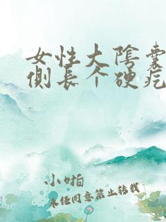 女性大阴囊唇内侧长个硬疙瘩