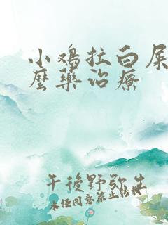 小鸡拉白屎用什么药治疗