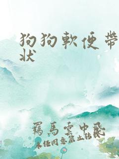 狗狗软便带果冻状