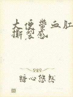 大便带血肛门有撕裂感