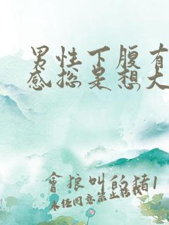 男性下腹有坠胀感总是想大便