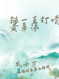 猫一直打喷嚏流黄鼻涕