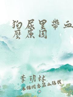 狗尿里带血是什么原因