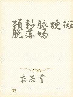 颈动脉硬斑块会脱落吗