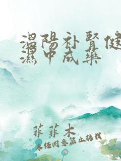 温阳补肾健脾祛湿中成药