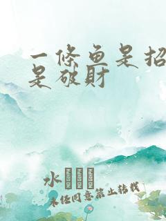 一条鱼是招财还是破财