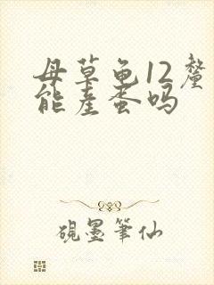 母草龟12厘米能产蛋吗