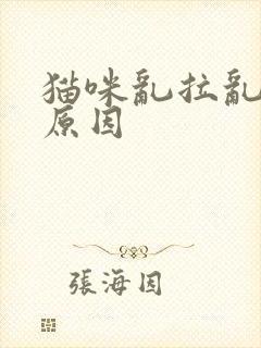 猫咪乱拉乱尿的原因