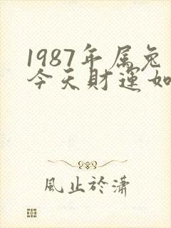 1987年属兔今天财运如何