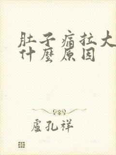 肚子痛拉大便是什么原因