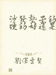 沙发垫子的海绵硬的好还是软的好