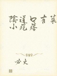 阴道口有菜花状小疙瘩