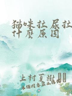 猫咪拉尿拉很久什么原因