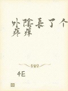 外阴长了个大痘疼痒