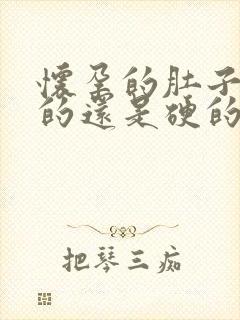 怀孕的肚子是软的还是硬的