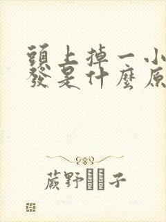 头上掉一小块头发是什么原因