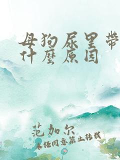 母狗尿里带血是什么原因