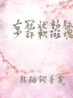 右冠状动脉近段少许软斑块