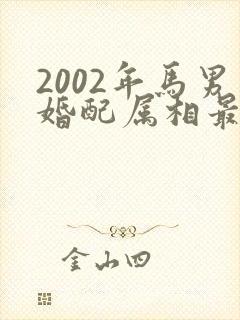 2002年马男婚配属相最好
