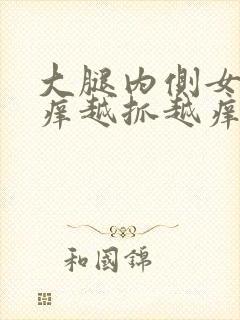 大腿内侧女性痒痒越抓越痒有小红疙瘩