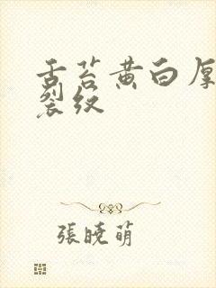 舌苔黄白厚腻有裂纹