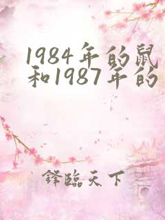 1984年的鼠和1987年的兔姻缘怎么样