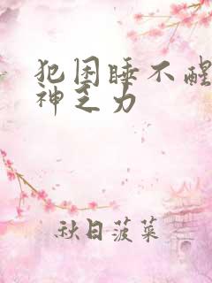 犯困睡不醒没精神乏力