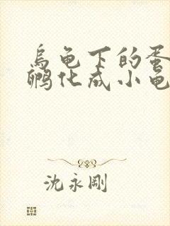 乌龟下的蛋怎么孵化成小龟