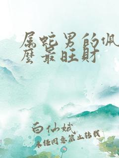 属蛇男的佩戴什么最旺财