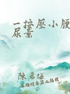 一按压小腹就有尿意