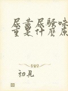 尿黄尿骚味特别重是什么原因