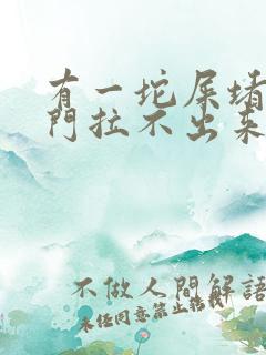 有一坨屎堵在肛门拉不出来怎么办