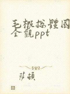 毛概总体国家安全观ppt