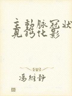 主动脉冠状动脉见钙化影