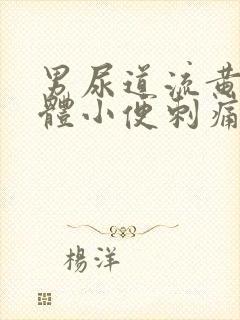 男尿道流黄色液体小便刺痛