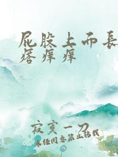 屁股上面长了疙瘩痒痒