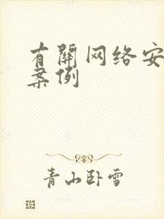 有关网络安全的案例