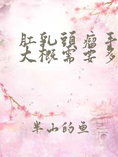 肛乳头瘤手术费大概需要多少