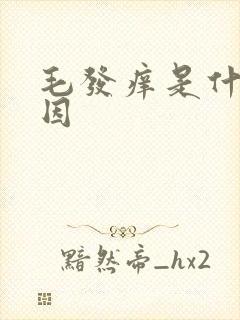 毛发痒是什么原因