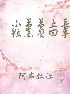 小弟弟上长小肉粒怎么回事