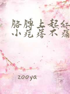 胳膊上起红色的小疙瘩不痛不痒