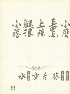 小腿上长小红疙瘩很痒怎么回事