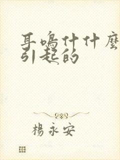 耳鸣什什么原因引起的