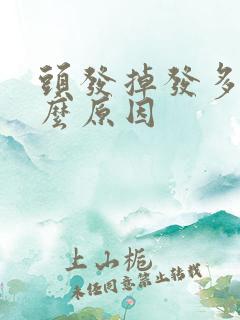 头发掉发多是什么原因