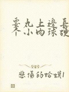 睾丸上边长了一个小肉球硬硬的