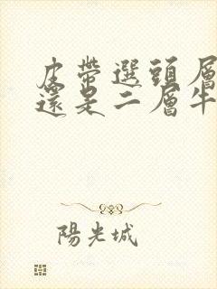 皮带选头层牛皮还是二层牛皮