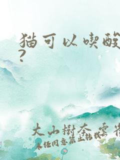 猫可以吃酸奶么?