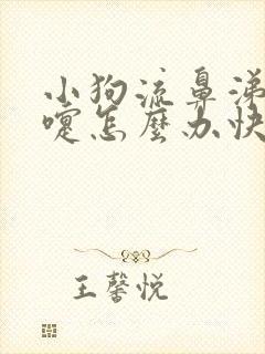 小狗流鼻涕打喷嚏怎么办快速解决