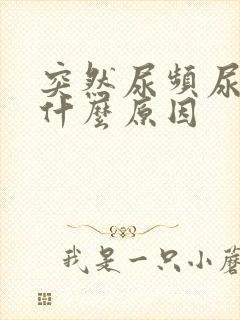 突然尿频尿不尽什么原因